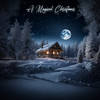 Wondrous Winter - Ripteyed&Pyanology