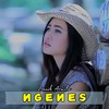 Ngenes - Denik Armila