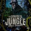 On Me (feat. BKS) (Explicit) - Blaxxx Bossalini&BKS