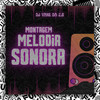 Montagem Melodia Sonora (Explicit) - Mafia Do Funk OFC&DJ VANE DA Z.Ø