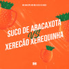 Suco de Abacaxota Vs Xerecão Xerequinha (Explicit) - DJ Sc&DJ HKZS&MC Davi CPR&MC GW