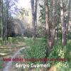 New other roads under my feet - Sergio Guarneri