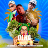 Olha Como Ela Vem - Os Gemeos da Putaria&MC GORDINHO DO CATARINA