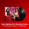 U shkretu oborri i shkollës - Sala Bekteshi&Ramize Caka