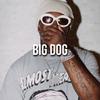 Big Dog (Explicit) - THF ZOO