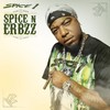 Stay High (Explicit) - Spice 1