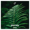 journey - Tobey