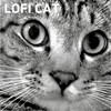 숙면을 위한 자장가 로파이 캣 (LOFI CAT) - 로파이