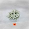 100 Bands (Explicit) - Natalie