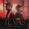 Vienes y Te Vas - Camin&Gino Mella&J.Prados