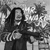 Surgical (Explicit) - Big Snake