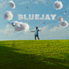 Bluejay - Riff Raff&Ku$h Drifter&Horst Simco