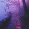 Partiality - Narvent&OBLXKQ