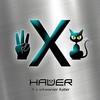 3 X schwarzer Kater - Der Hauer