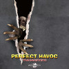 The Beginning - Perfect Havoc