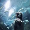 battle (Explicit) - Brooks!