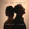 Can't Wait to See Ya - A.J Lyriq&Crystal Heo