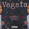 Vegeta (Explicit) - GTK Bron