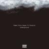 Underground (feat. Bizarre) (Explicit) - Emmet Nino Hayes&Bizarre