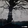 Paty Kerry (完整版|P.Midi Remix) - Dan Mckie