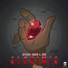 Alquimia (Original Mix) - Different Heaven&EH!DE