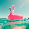 Tropical Corporate Vibes - Catalin Popescu
