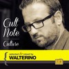 Ghetto Jam (Walterino Re-Edit Mode) - Hd 1080 Orchestra