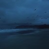 Storm Is Coming (Explicit) - VLWXYSMILE