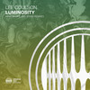 Luminosity (StanV Remix) - Lee Coulson&Stanv