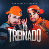 Tô Treinado (Explicit) - Mcs Nando and Luanzinho