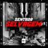 Sentada Selvagem (Explicit) - TESOURO RARO&Mc Panda&DJ MAGRO