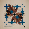 Nocturna Estelar - Julian Cardona