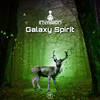 Galaxy Spirit - Invasion