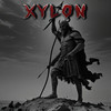 Running (Explicit) - Xylon