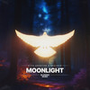 Moonlight - Alex Grafton&Nedisco