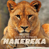 Nakereka - Lioness Afreeka