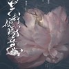 牡丹-共我倾城意 (其他) - 幽篁吟原创音乐&茶罗