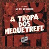 A Tropa dos Mequetrefe (Explicit) - Mc Bf&Mc Maiquin&DJ Ery