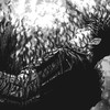 4Gatsu (Explicit) - Kid Killua&Indigo Soul &FIREKEEPER