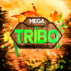 Mega Da Tribo (Explicit) - Fb de Saquarema