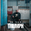 TRIUMPH - AQ Flow