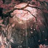 Give crush - 阿顺