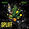 Spliff (Explicit) - Trapfit&Kayos