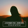 One of a Kind (Airplay Mix) - X-ite project&Doobie Rush