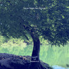 Salt River - Cassava Quartet