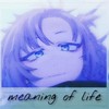 meaning of life - Y15WHELL&løne yme