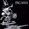 Picada (Slowed|Explicit) - DJ FLG&DJ EPIFY
