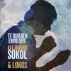 Te Quieren Envolver - Alejandro Sokol&Lokos