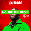 La vie de rêve (Remix) - DJ R'an