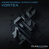 Vortex - Asher Swissa & Matan Caspi&Matan Caspi&Asher Swissa